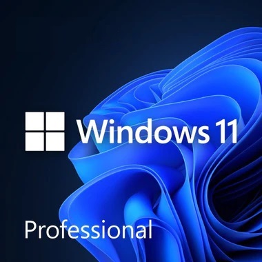 Windows 11 Pro 32/64 Bit Key - Email Delivery
